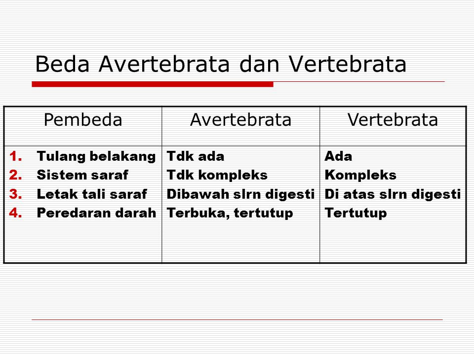 Tabel Perbedaan Hewan Vertebrata Dan Avertebrata Terbaru Https